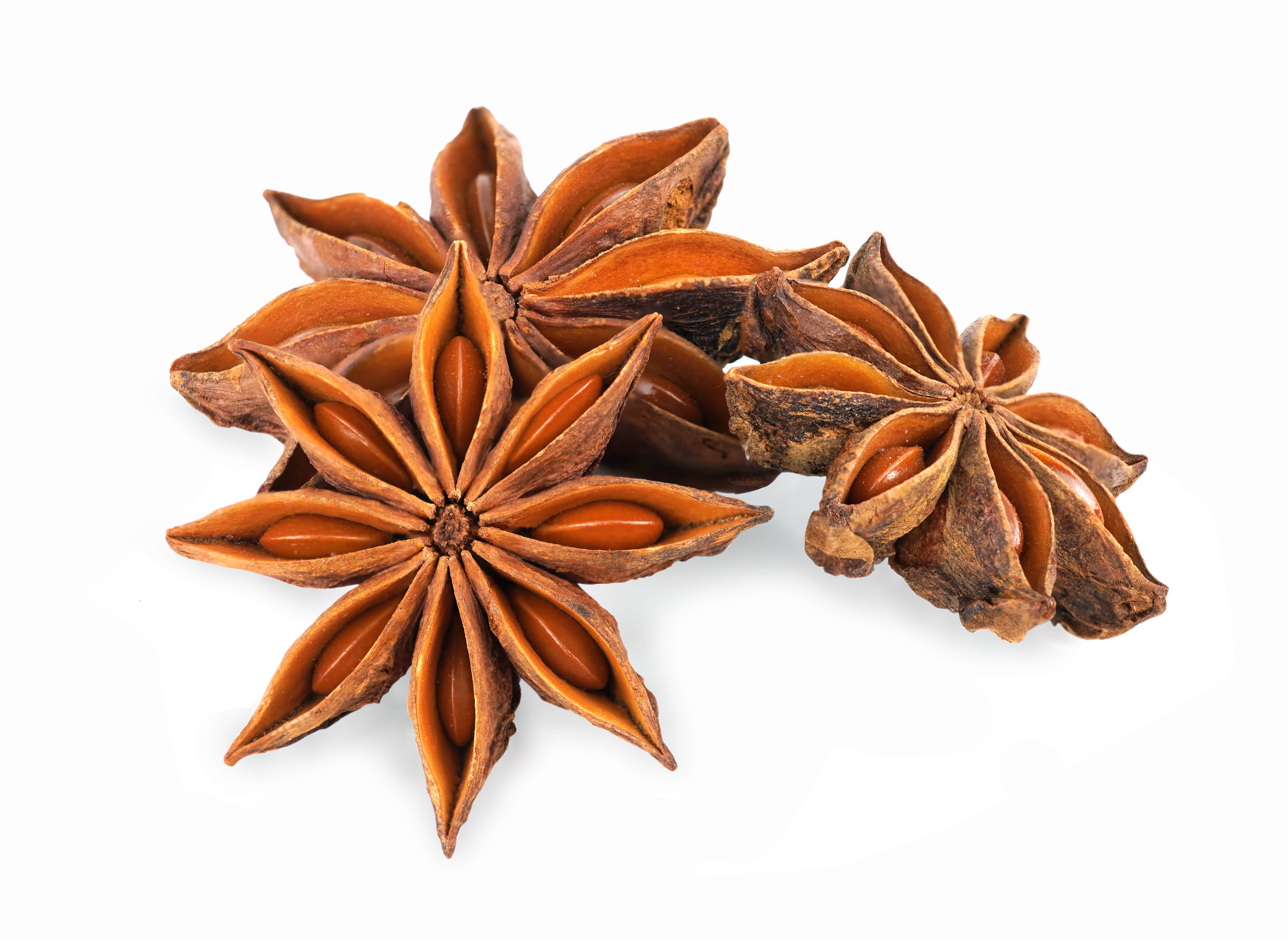 Star Anise EO (CAS N° 8007-70-3)